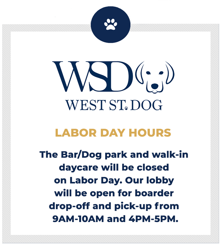 Boarding West Street Dog